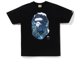 A Bathing Ape Christmas Photo Ape Head Tee in Black xld