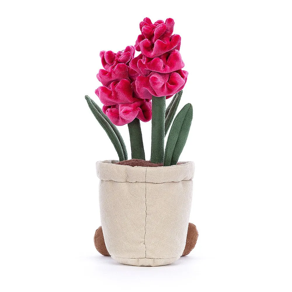 Amuseable Hyacinth